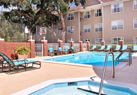 Marriott Residence Sarasota Pool