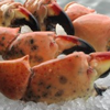 Stone Crab Month